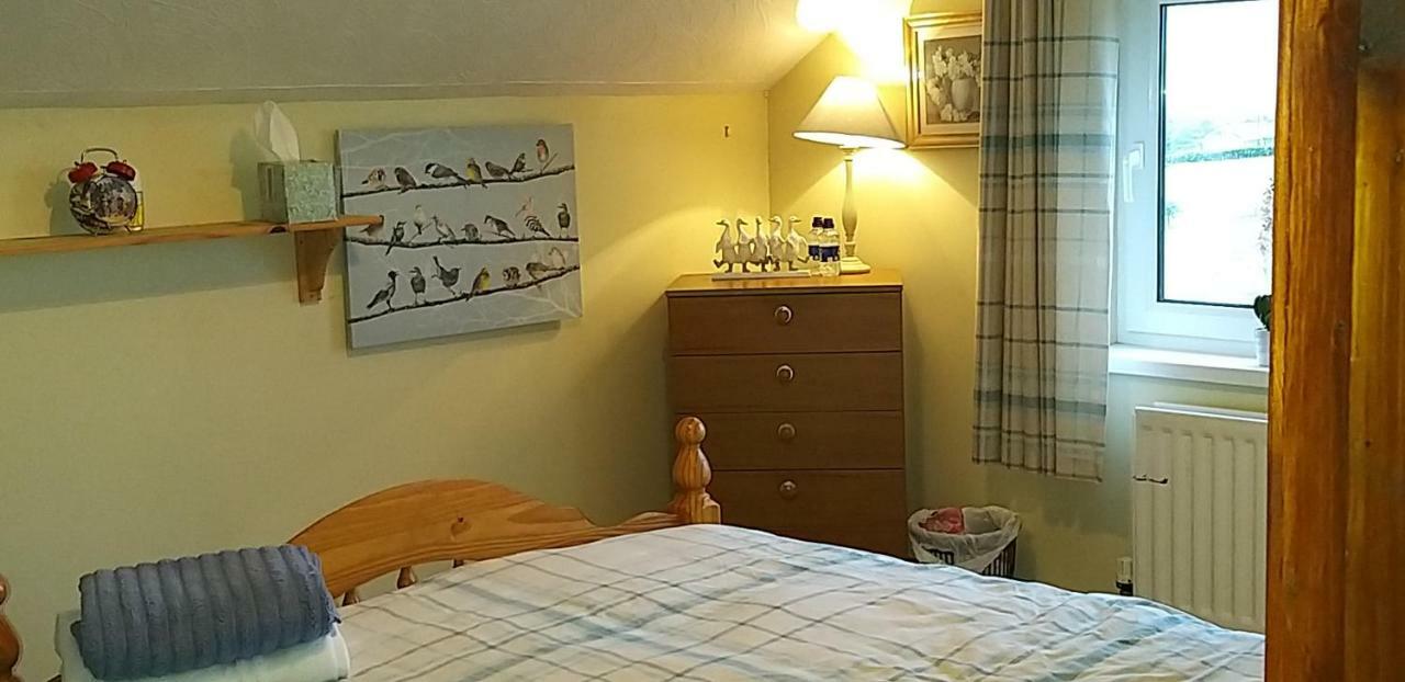 Antrim Heights Bnb Dış mekan fotoğraf