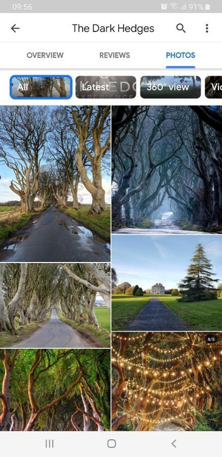 Antrim Heights Bnb Dış mekan fotoğraf