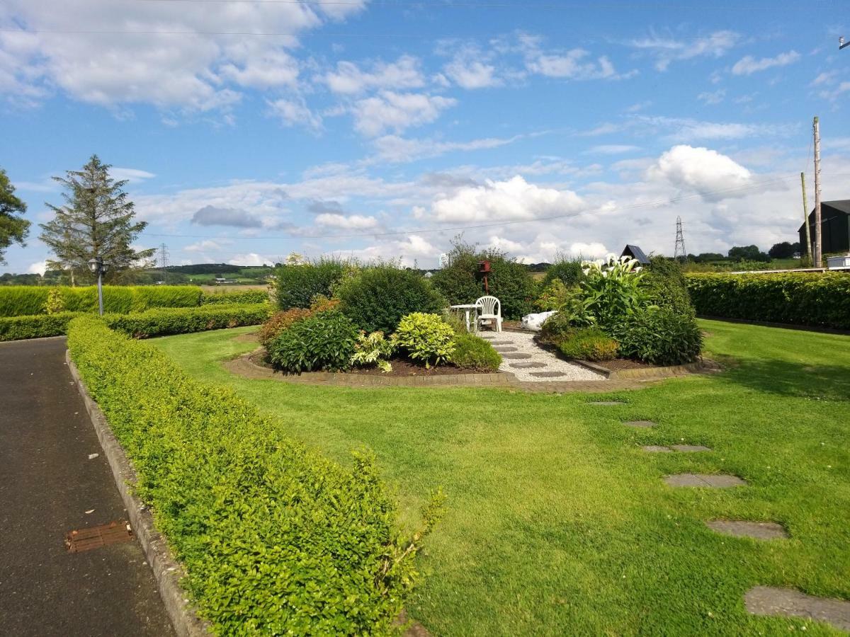 Antrim Heights Bnb Dış mekan fotoğraf