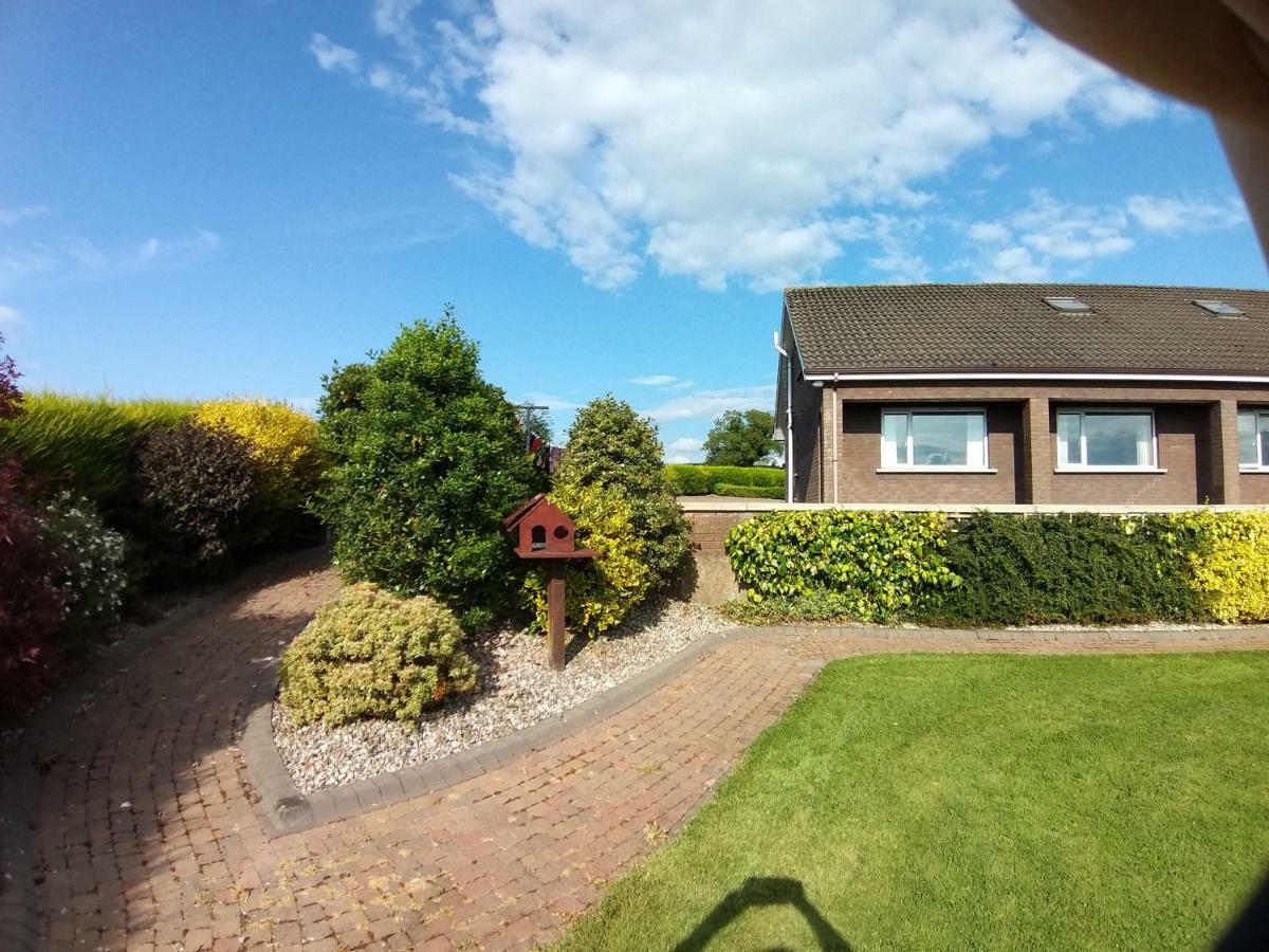 Antrim Heights Bnb Dış mekan fotoğraf