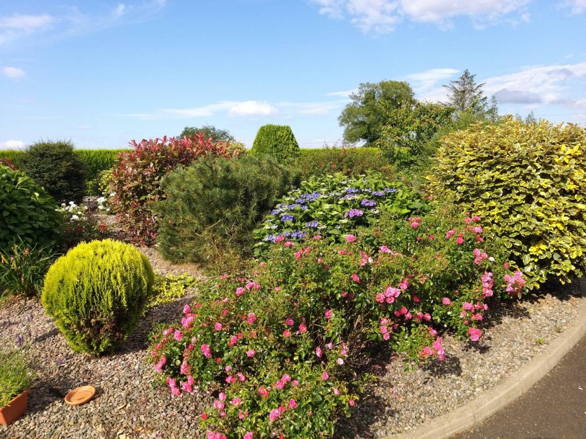 Antrim Heights Bnb Dış mekan fotoğraf