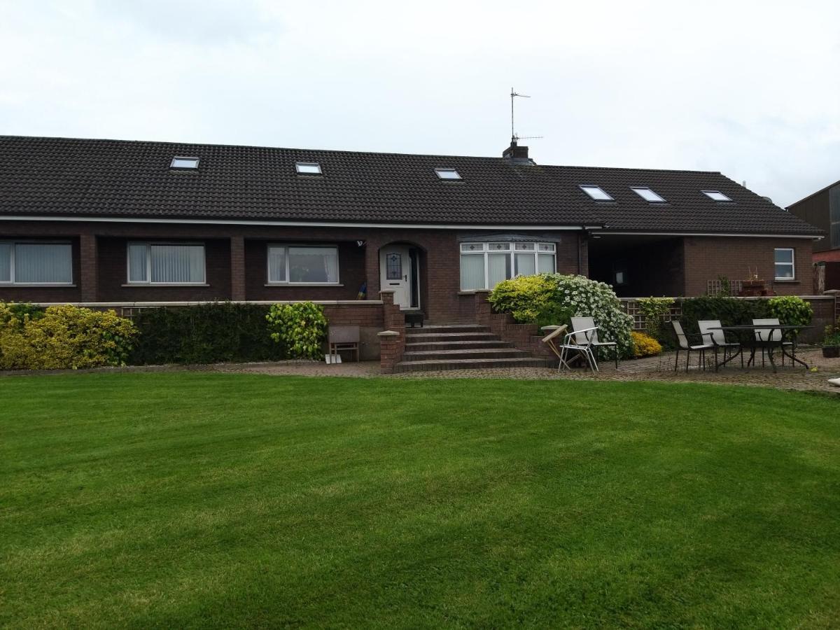 Antrim Heights Bnb Dış mekan fotoğraf