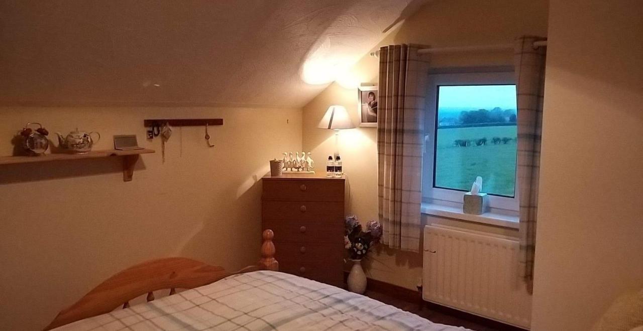 Antrim Heights Bnb Dış mekan fotoğraf